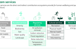 Table showing ecosystem services for natural capital. Credit: NatureScot