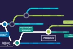 image showing graphic design of rapid adaptation pathway decision making